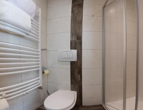 a bathroom with a toilet and a glass shower at Oberauhof in Kleinarl
