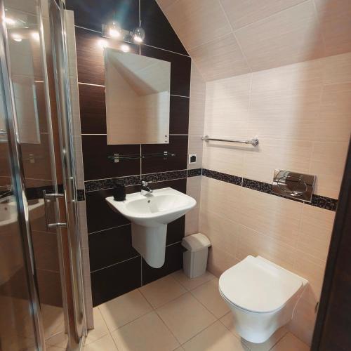 a bathroom with a sink and a toilet at Gościniec Tenczyn in Tenczyn