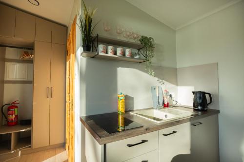 una cocina con encimera y fregadero en RiverView Cozy Cabins in Jurmala with fishing opportunity, en Jūrmala
