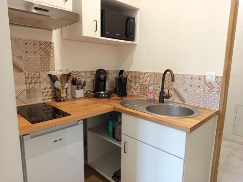 une cuisine avec un évier et un plan de travail dans l'établissement Studio cosy en pierre au cœur du vieux Langon, à Langon