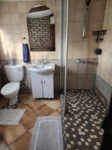 une salle de bain avec toilettes, douche et lavabo dans l'établissement Valhalla Ranch, à Dundee