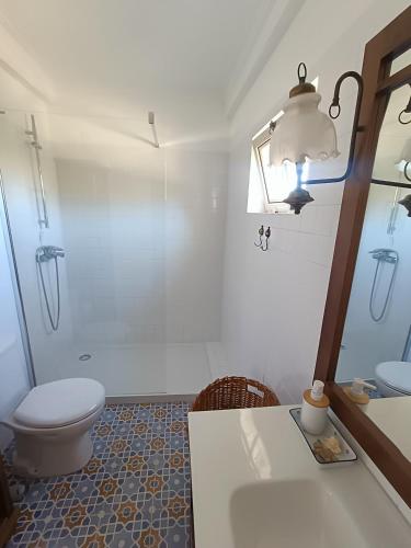 a bathroom with a toilet and a sink and a mirror at Casa Flow and Glow in Santiago do Cacém