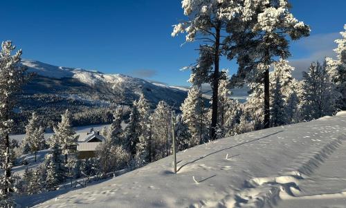 een besneeuwde heuvel met bomen en een huis bij Modern cabin with panoramic view, sauna and fire pit in Espedalen