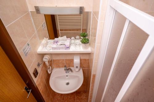 a small bathroom with a sink and a mirror at Hotel Junior Poděbrady in Poděbrady