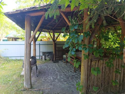 a wooden pergola with a stone pathway in a yard at Біля Синевіру in Synevyrsʼka Polyana