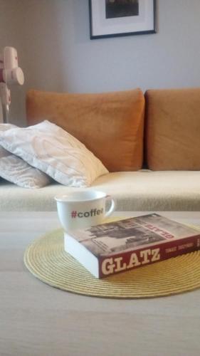 Apartament Glatz - na Letniej, Kłodzko, winda, garaż podziemny, balkon z widokiem na góry