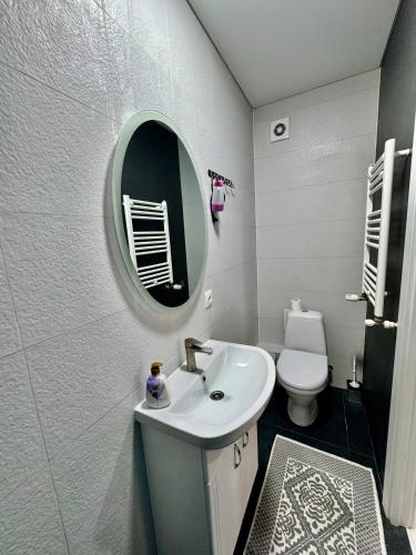 a bathroom with a sink and a mirror and a toilet at Apartament Edinet-единец in Edineţ
