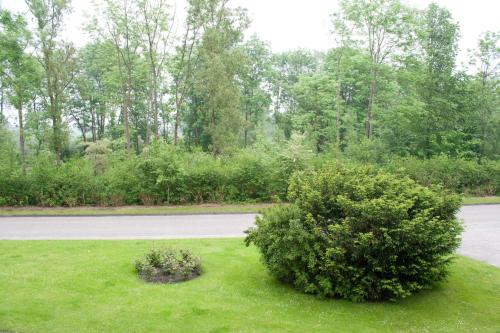 ブラズィリアンにあるFerienwohnung F127 an der Ostseeの道路脇の草むらの茂み