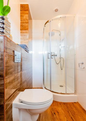a bathroom with a toilet and a shower at Sunrise Apartaments in Rowy