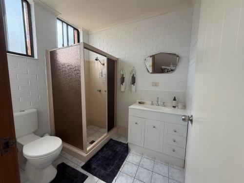 a bathroom with a toilet and a shower and a sink at Cod Place in Beautiful South West Rocks in South West Rocks