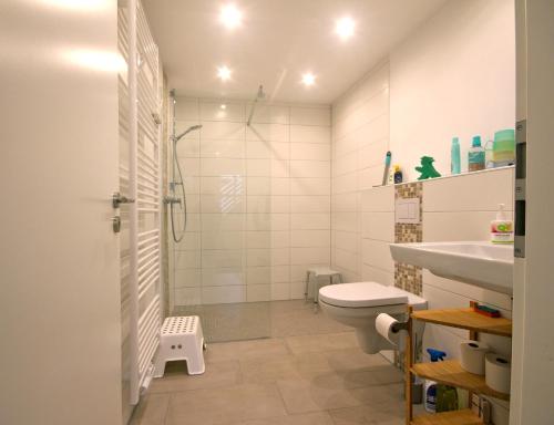 a bathroom with a shower and a toilet and a sink at ÜbermTal in Schmallenberg