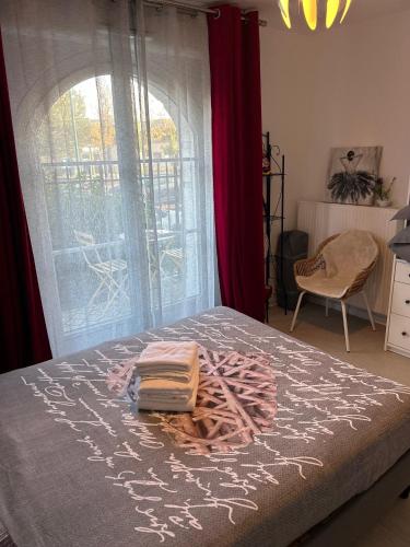 a bedroom with a bed and a large window at Appartement cosy proche Disneyland in Serris
