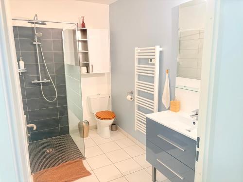 ein Badezimmer mit Dusche, Toilette und Waschbecken in der Unterkunft studio proche Orly et villes 91 in La Ville-du-Bois