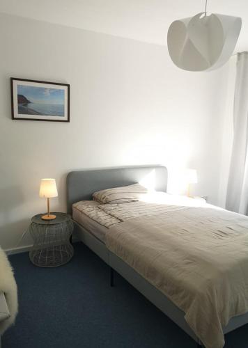 a bedroom with a large bed and a lamp at Rotkehlchen Ferienwohnung in Herborn