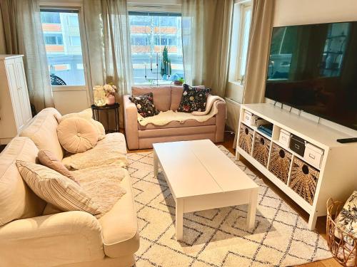 a living room with a couch and a tv at Cosy Station Homestay in Rovaniemi