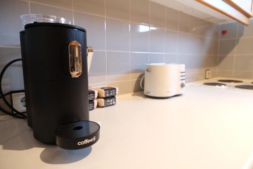 Kuchyň nebo kuchyňský kout v ubytování Panoramablick vom Rodenberg