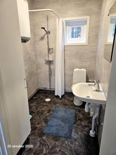 a bathroom with a sink and a shower and a toilet at Färjas Brygga in Söråker