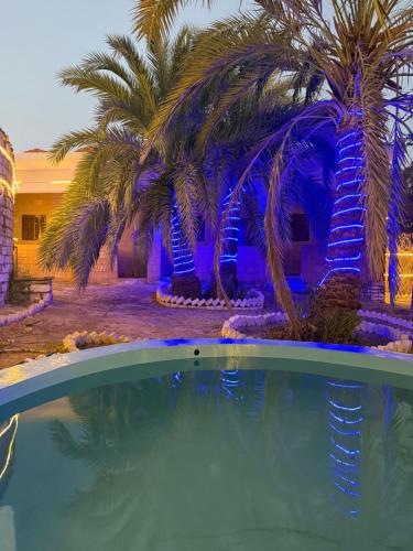 Bazén v ubytování كامب سيوة اواسيس Siwa Oasis Camp nebo v jeho okolí