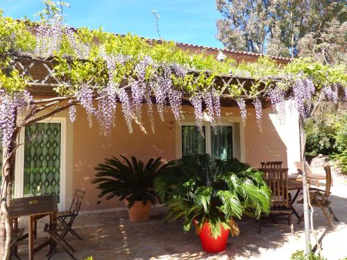 a house with a bunch of wisteria hanging from it at Villa sur mer, chez Angelina in Grimaud