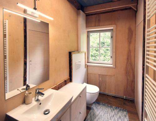 a bathroom with a sink and a toilet and a mirror at Roubenka Studánka in Studený