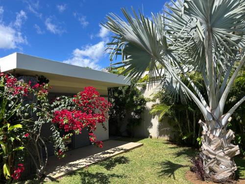 a palm tree next to a house with pink flowers at Belle Villa de Grand Baie in Midlands Station