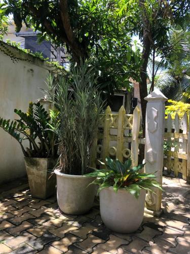 Κήπος έξω από το Villa Ranuka