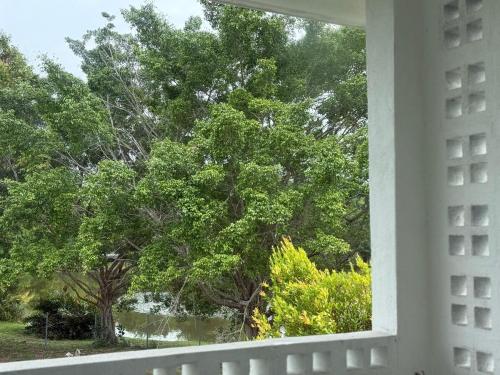 En have udenfor Micasa Bagan Laland,halal only