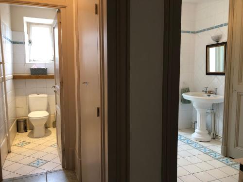 a bathroom with a toilet and a sink at La Réserve in Reventin-Vaugris