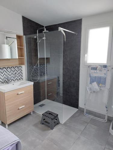 a bathroom with a shower and a sink at Les jonquilles in Forest-Montiers