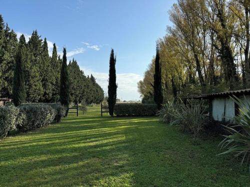 Κήπος έξω από το le domaine des cigales