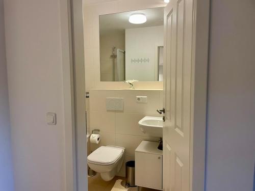 a bathroom with a toilet and a sink and a mirror at Ferienwohnung Mangfall - Berge, Natur und Ruhe in Hausham