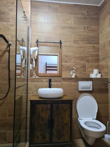 a bathroom with a toilet and a sink and a shower at Hotel Montenegro in Bruntál