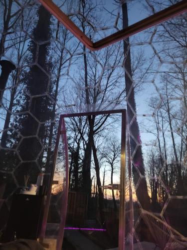 a mirror in a room with trees in the background at Dôme design by Out & Lodge in Couvin