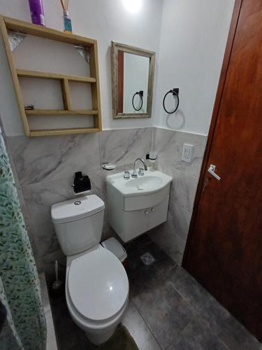 オステンデにあるLos Pecos Hospedaje 1er pisoの白いトイレと洗面台のあるバスルーム