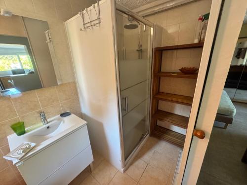 a small bathroom with a sink and a shower at Appartements Calvi in Calvi