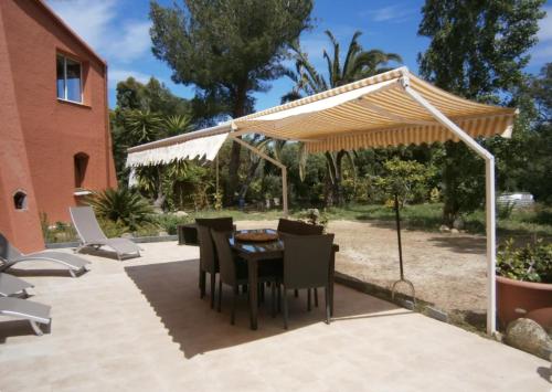 Appartements Calvi