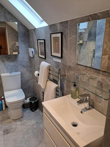 a bathroom with a sink and a toilet at Havisham House in Woburn