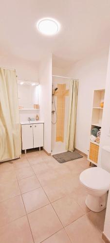 a bathroom with a toilet and a sink and a shower at Sérénité à l'Orée des bois in Le Teich