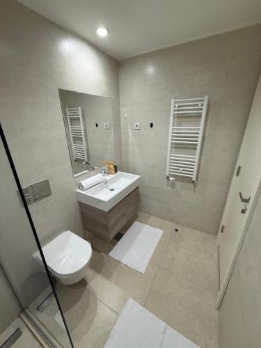 a bathroom with a sink and a toilet at Belgrade Waterfront Sky & River View Residences in Belgrade