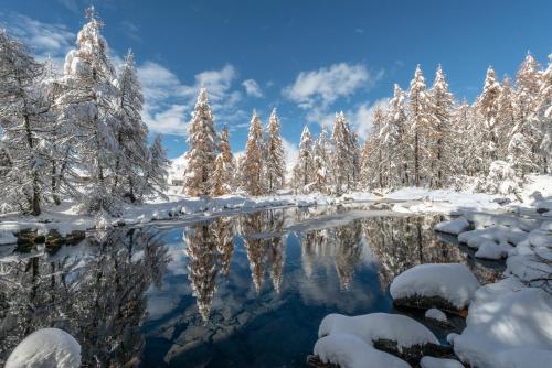 a lake in a snowy forest with snow covered trees at Lo chalet di Lucky in Campodolcino