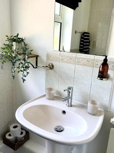 a white sink in a bathroom with a mirror at Ty Newydd in Llangyniew