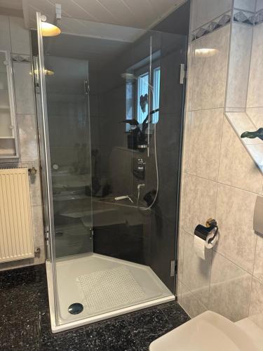 a shower with a glass door in a bathroom at Ferienwohnung Riva in Kronau