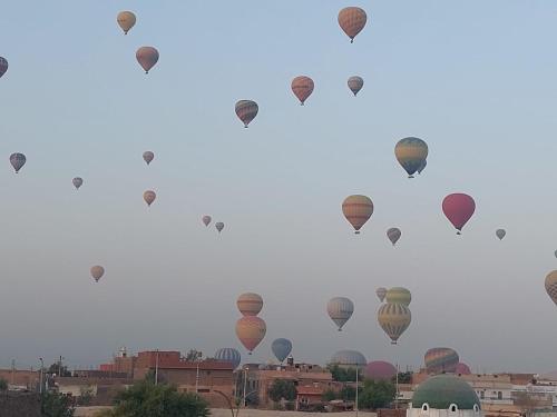 Carter Guesthouse Luxor 5