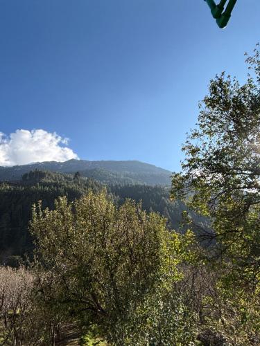 een uitzicht op een berg met bomen op de voorgrond bij Ghumakkad Homestay in Harsil