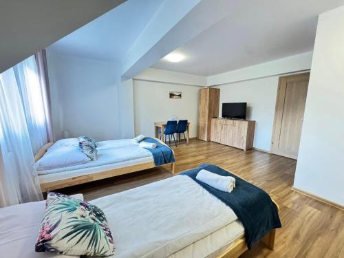a hotel room with two beds and a television at Willa Wioletta in Tylmanowa