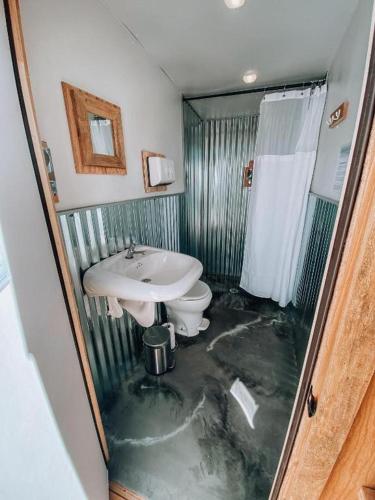 a flooded bathroom with a sink and a toilet at Bryce Canyon Escalante Glamping in Cannonville