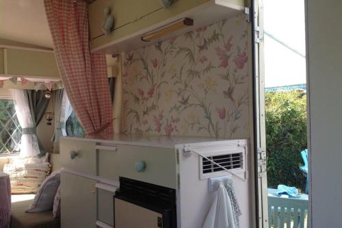 a small kitchen with a stove and a wall with flowers at 1 Bed Caravan Sleeps 2 - Parking Garden Pets in Lizard
