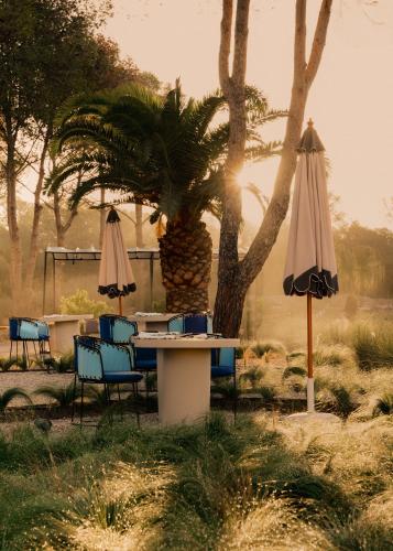 Сад в Hotel Son Xotano