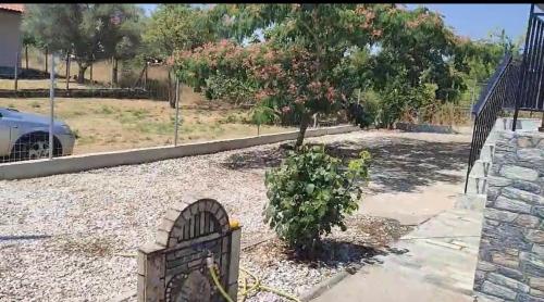 a tree in a yard with a fence at Villa Sokrates in Nea Vrasna