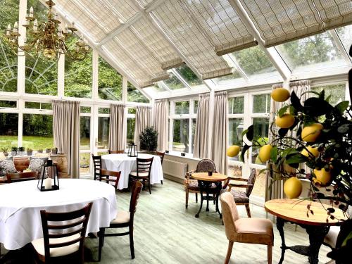 a conservatory with tables and chairs and a plant at Scarborough Hill Country Inn in North Walsham